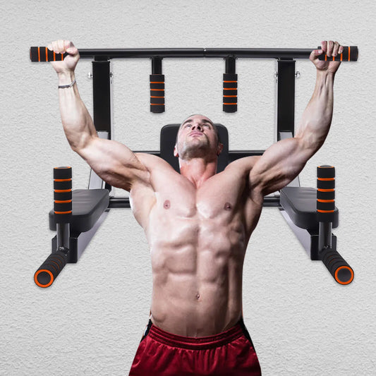 Wall Mounted Pull Up & Dip Station